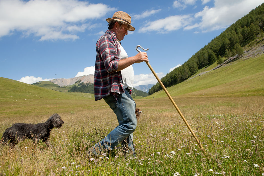Photograph of shepherd walking with his dog