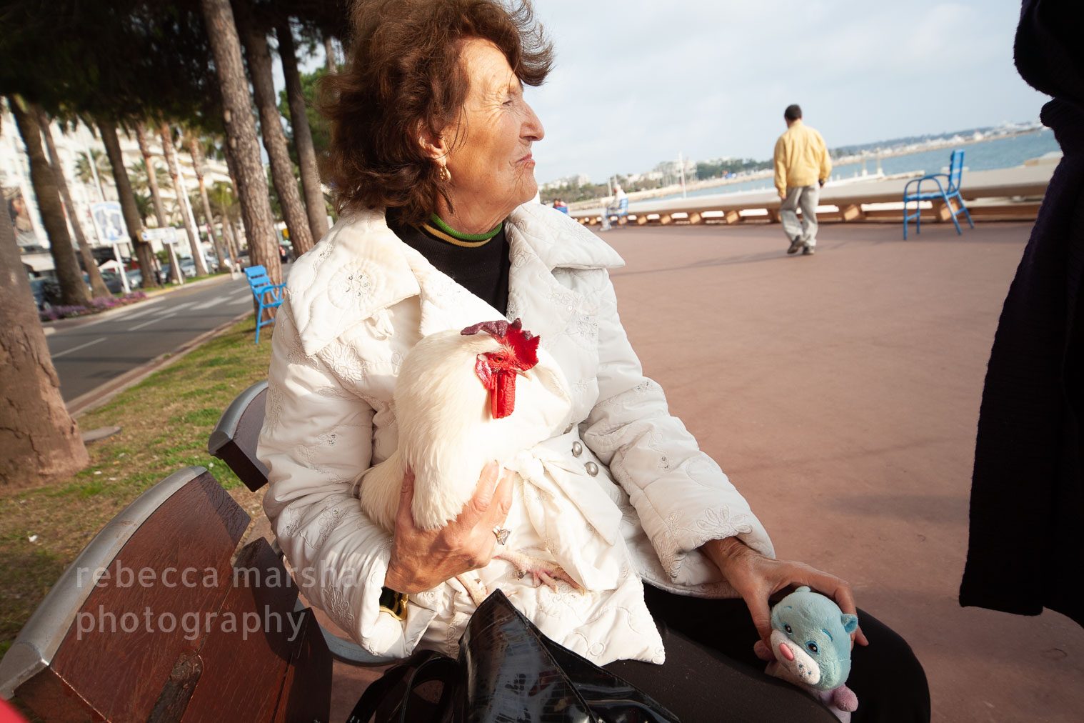 Woman sitting on seafront bench with her pet rooster