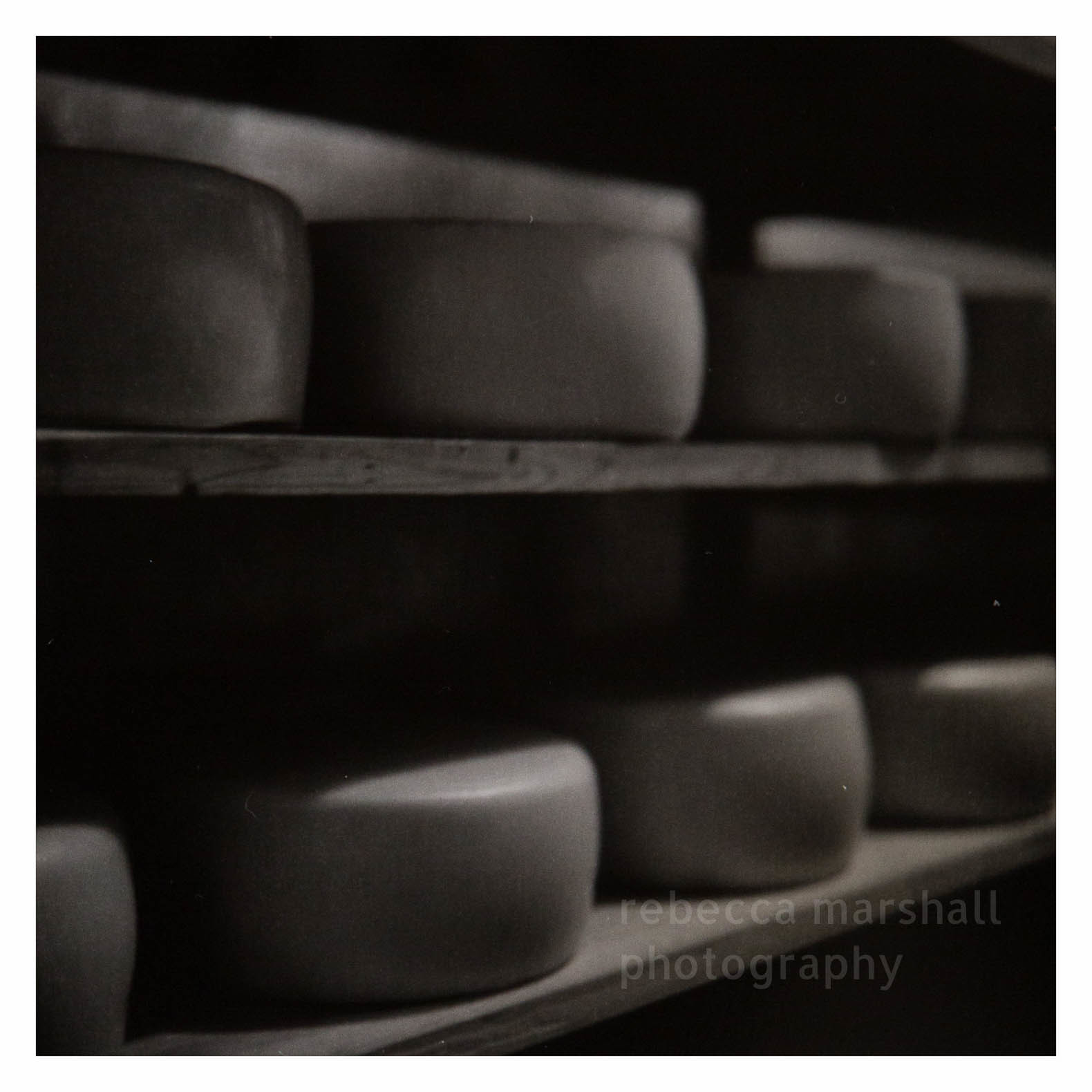 Black and white photograph of rows of round cheeses maturing on shelves