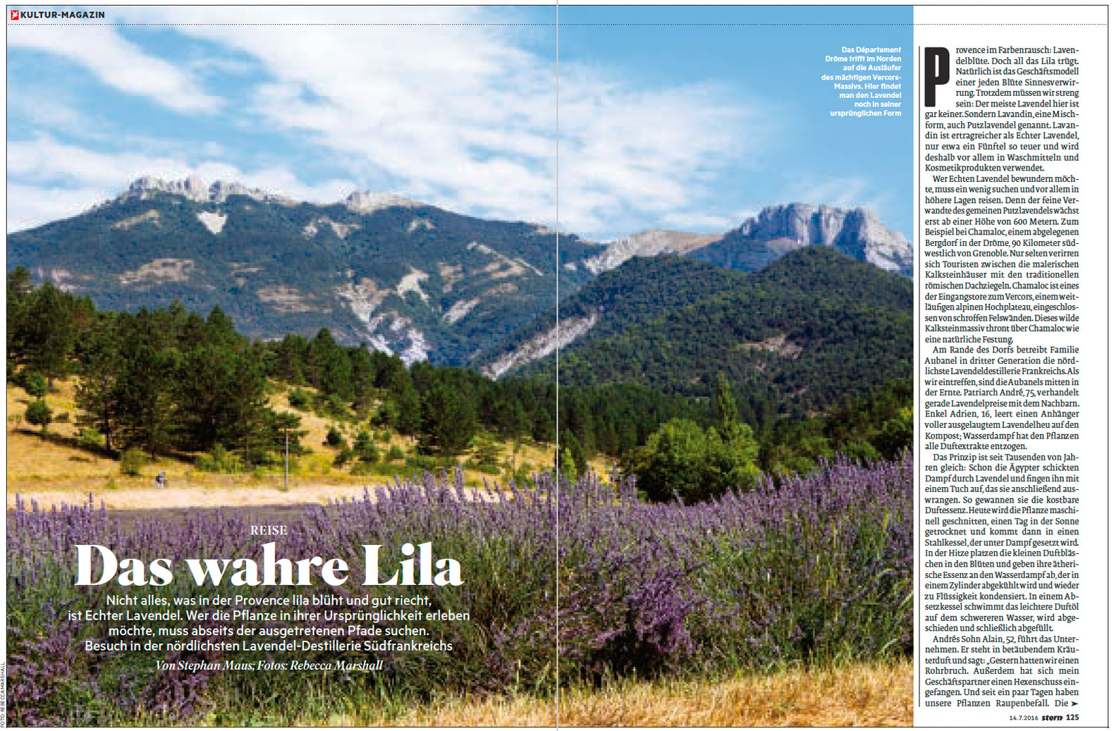 Double-page spread from Stern magazine showing field of lavender