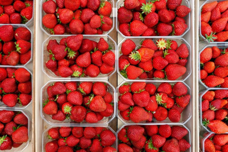 Overhead photo of several boxes of strawberries