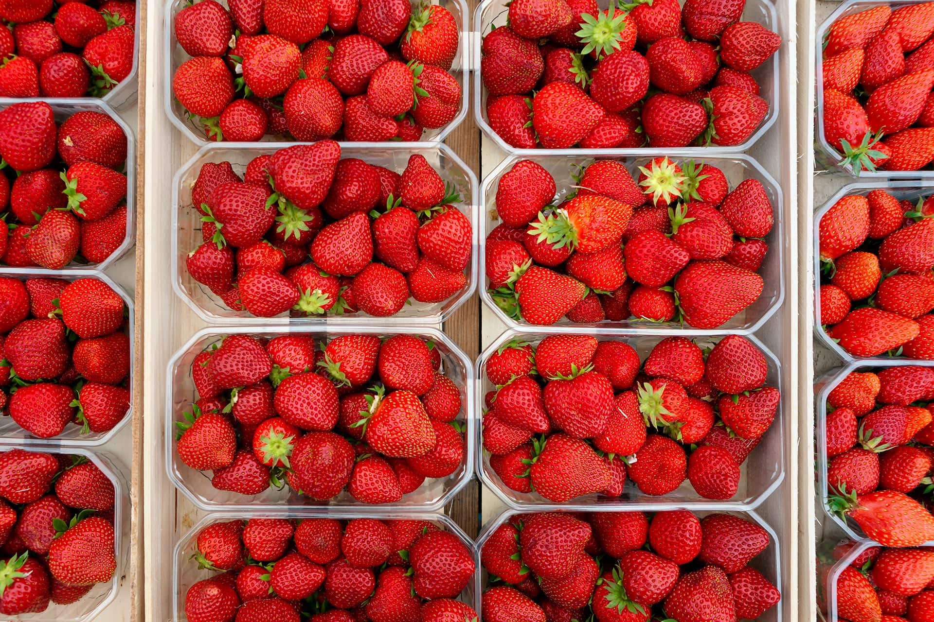 Overhead photo of several boxes of red strawberries