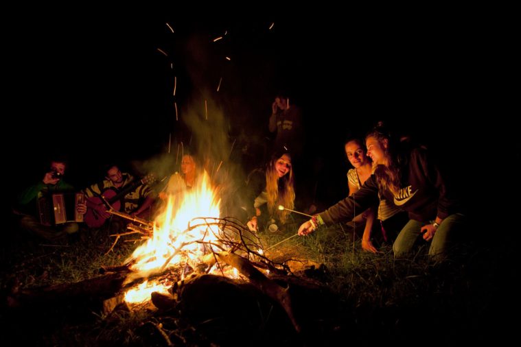 A group of people sit around a fire, playing accordion, guitar and roasting marshmallows