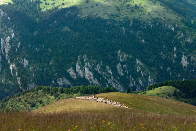 Landscape in mountains with a flock of sheep and shepherds in the distance