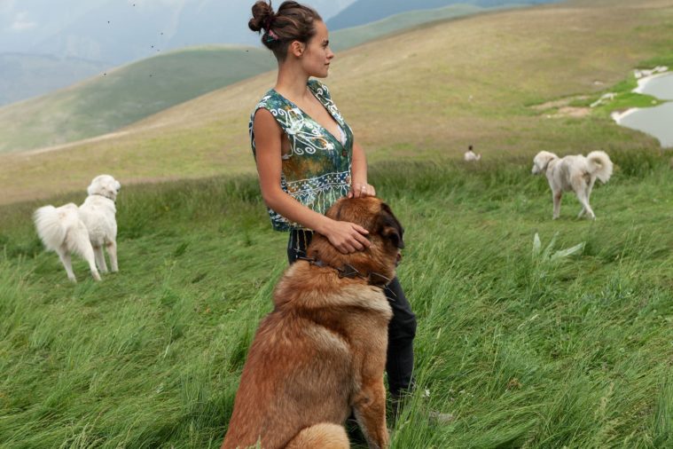 Girl caresses a large dog on the top of a hill