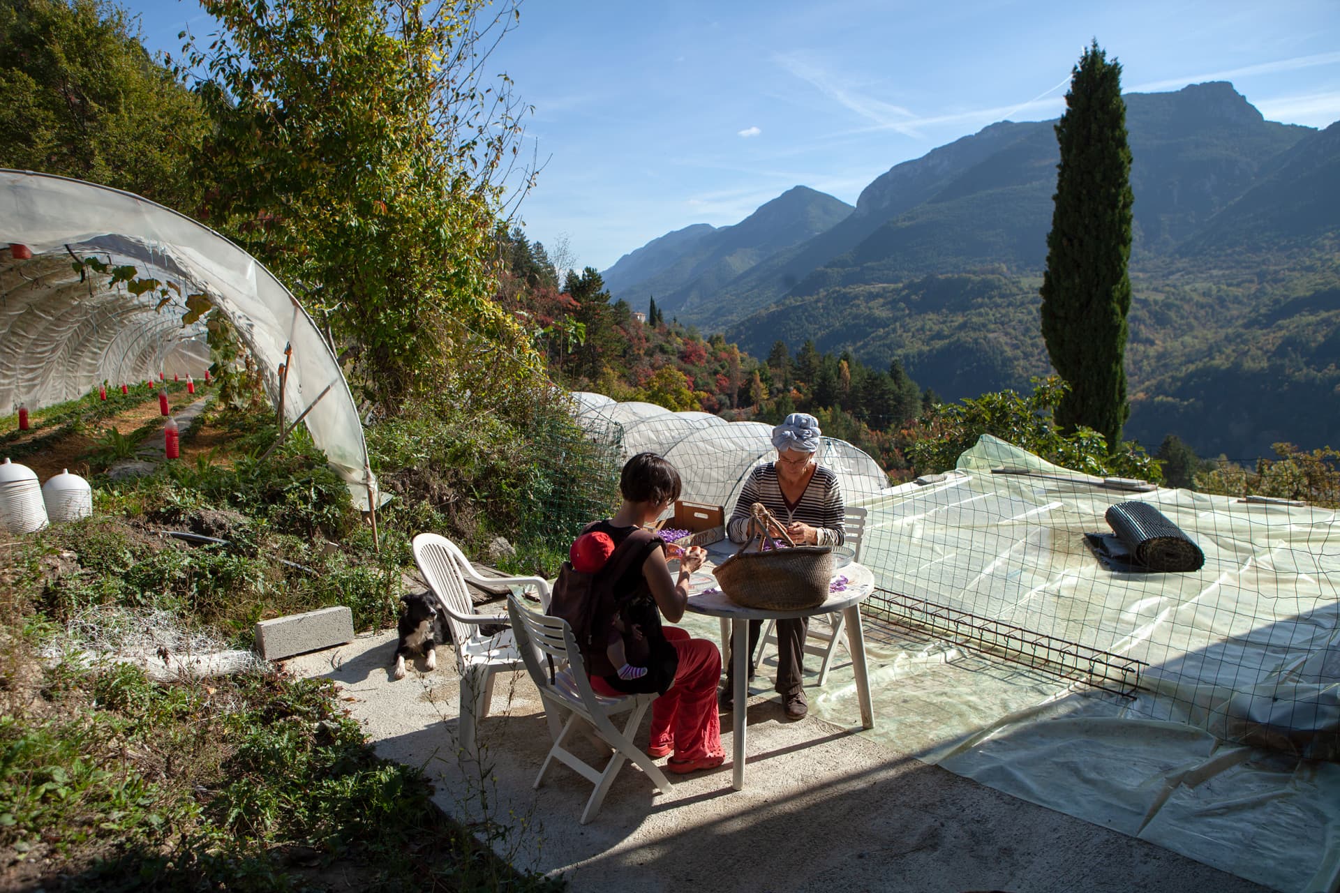 Two women sit working at a table on a terrace, with a greenhouse and mountains in the background