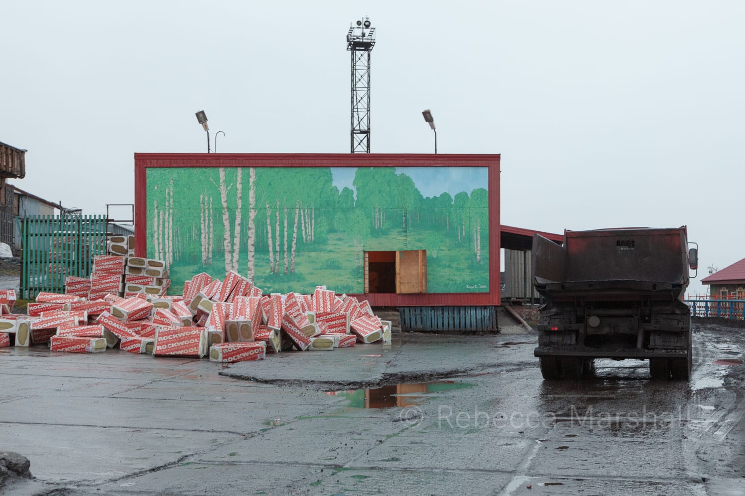 Photograph of a mural of a forest painted on an industrial building in a yard