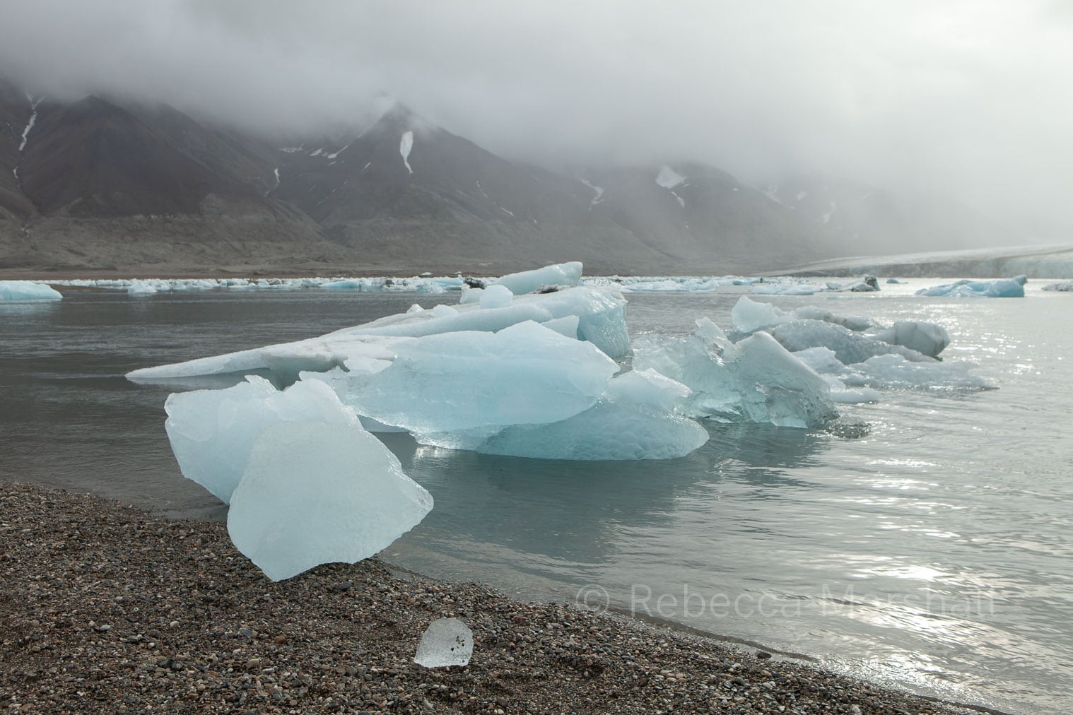 Photograph of icebergs in the sea in a misty, cold landscape