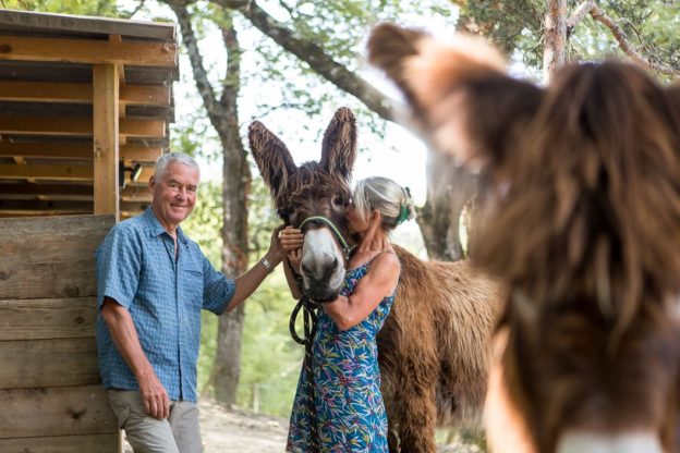 A middle-aged couple with two donkeys outside a barn
