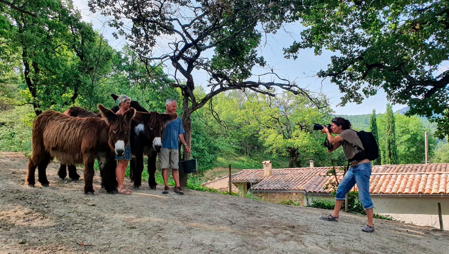 Photographer taking a picture of a man and woman and 3 donkeys