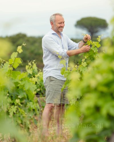 Man smiles as he examines grape vines