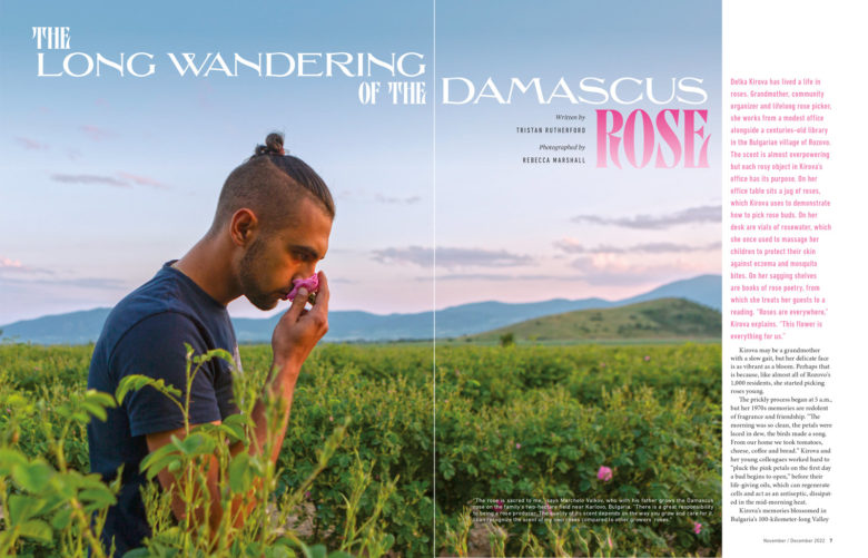 Photographer Assignment in Bulgaria's Valley of Roses