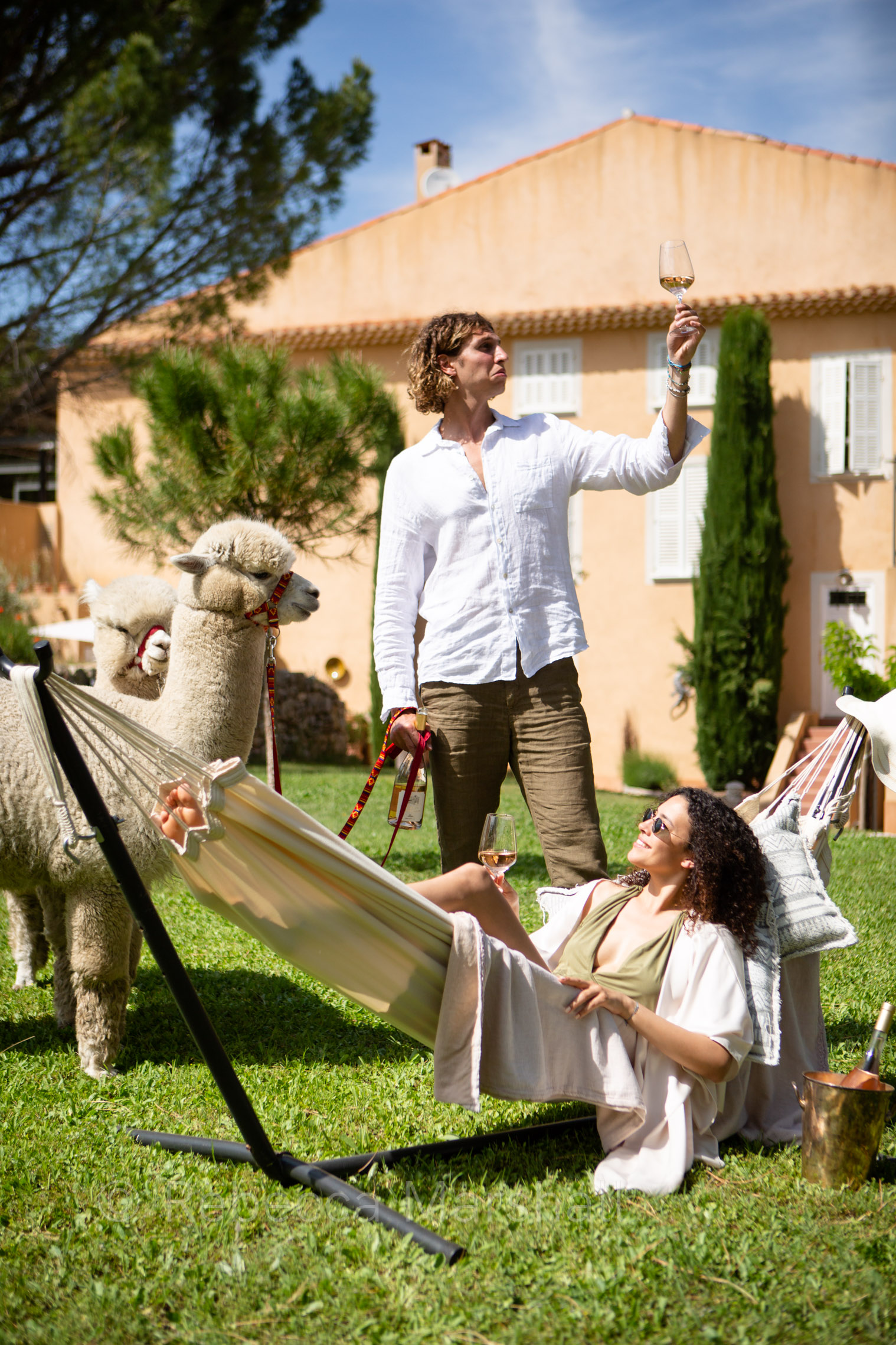 A couple drink wine on the lawn with two pet llamas