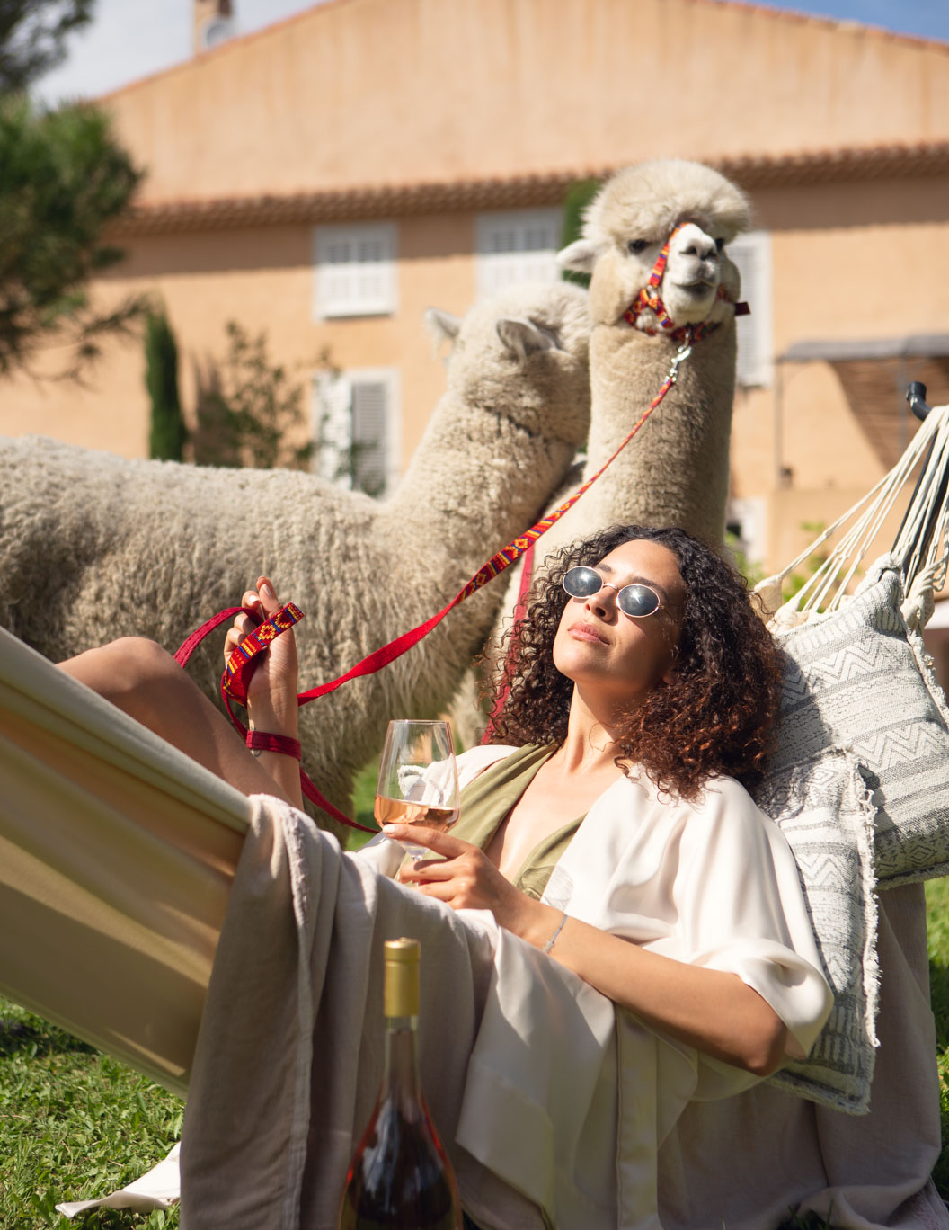 Girl drinking wine in a hammock holds a pet llama on a leash