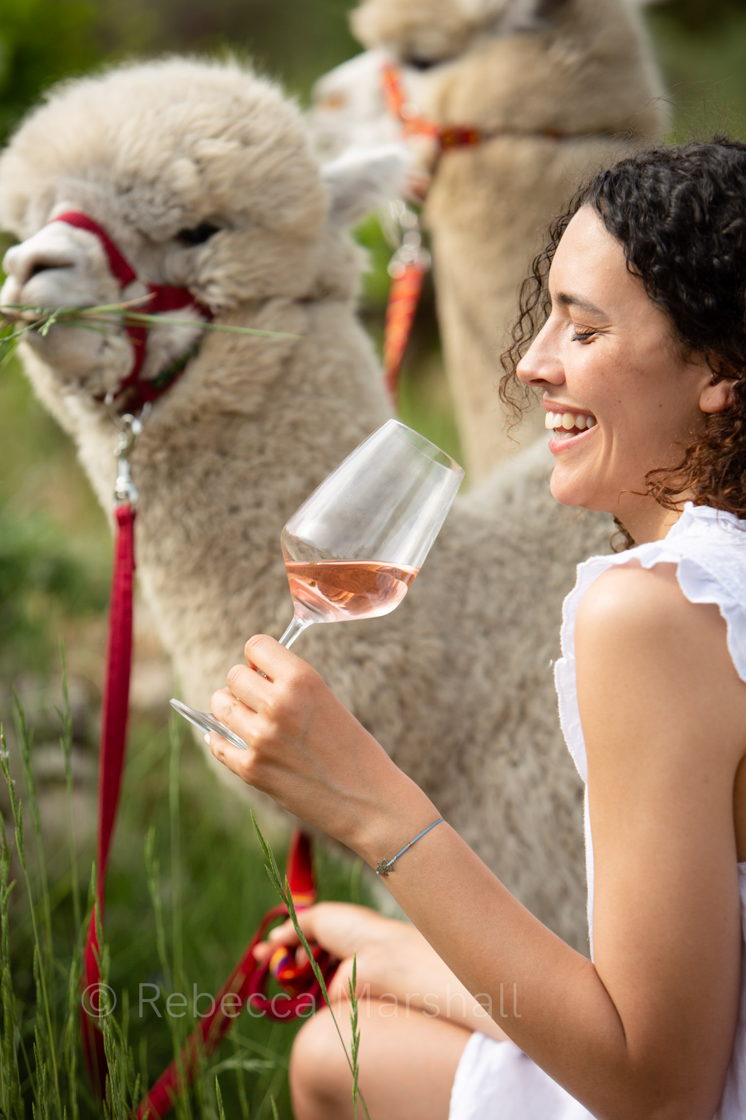 A model smiles with a glass of rose wine in her hand; two llamas graze in the backgroud