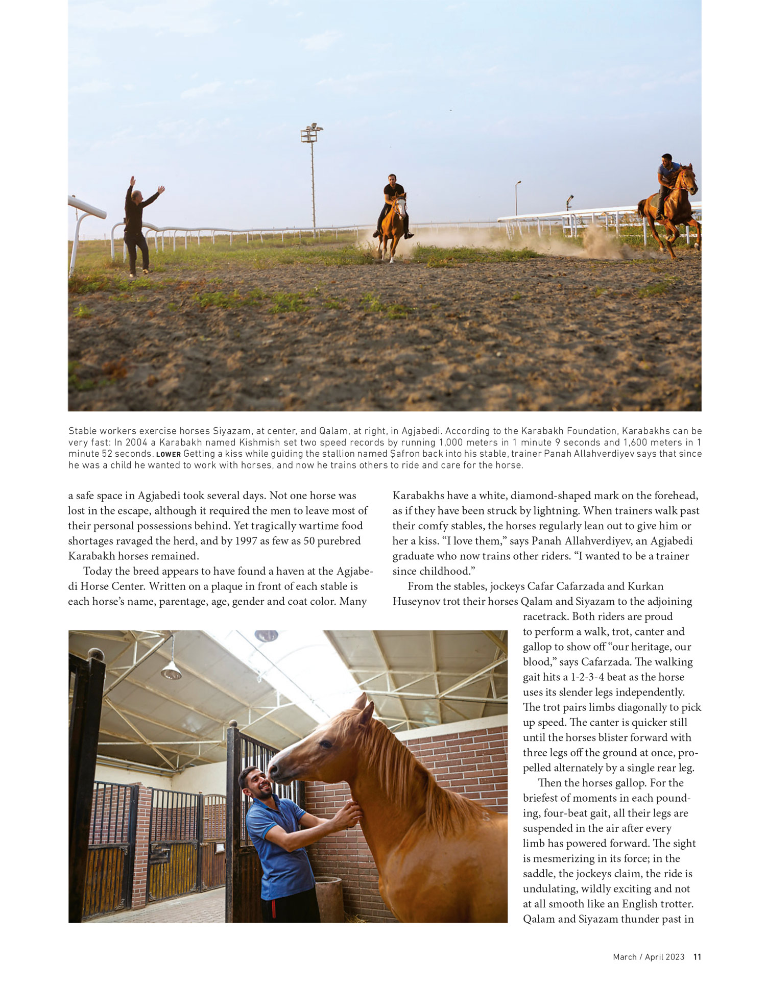 Page of a magazine, showing two photographs of horses, on a racetrack and in a stable